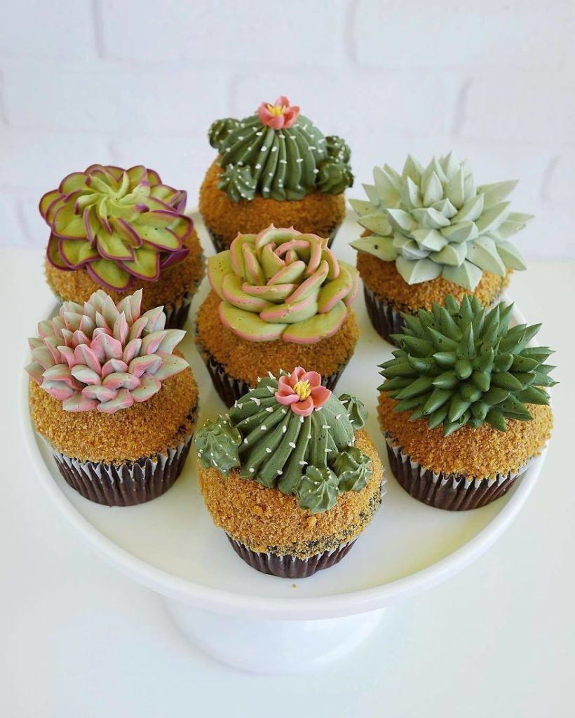 İlginç Pasta Tasarımları Kaktüs Pasta Ve Cupcake
