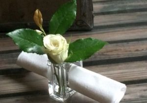 Eleştirinin Buz Kenarına Çiçek Kondurmak