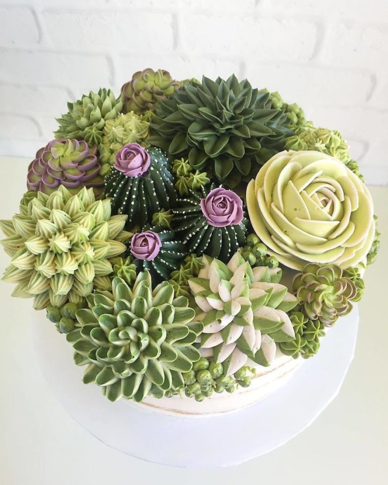 İlginç Pasta Tasarımları Kaktüs Pasta Ve Cupcake