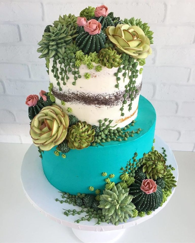 İlginç Pasta Tasarımları Kaktüs Pasta Ve Cupcake