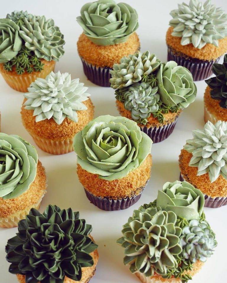 İlginç Pasta Tasarımları Kaktüs Pasta Ve Cupcake