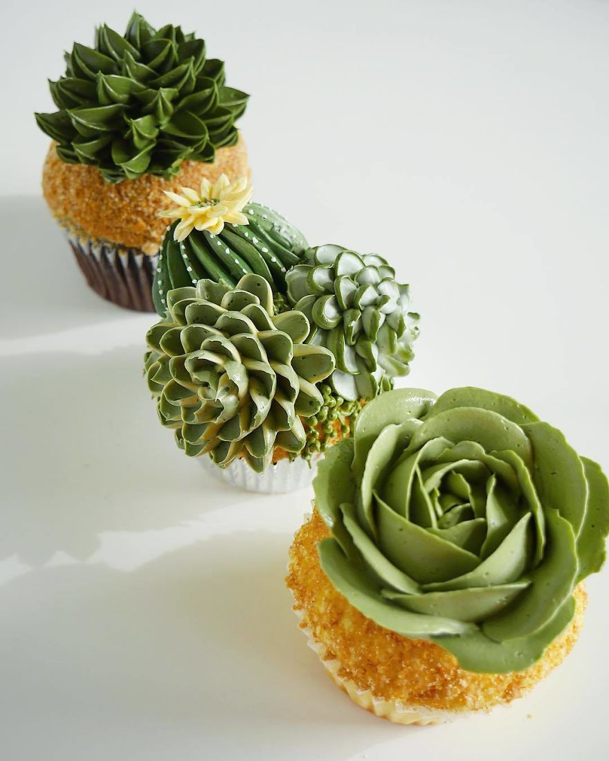 İlginç Pasta Tasarımları Kaktüs Pasta Ve Cupcake