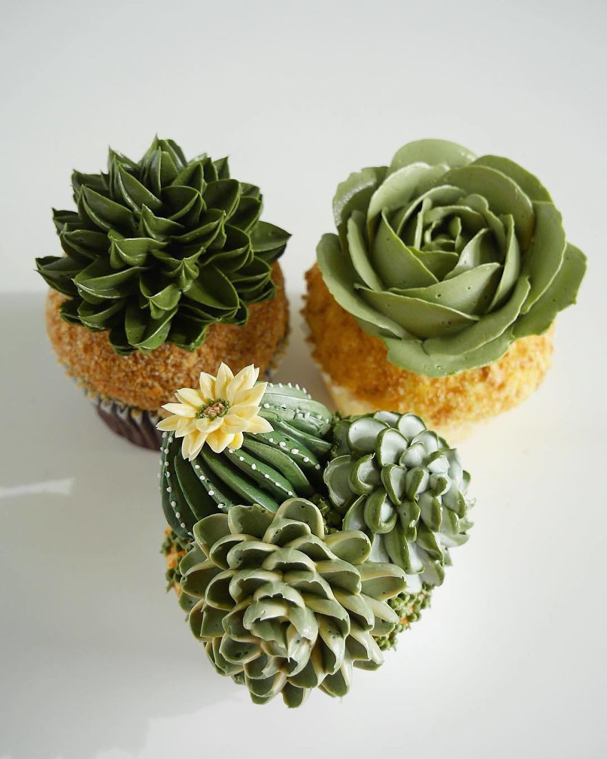 İlginç Pasta Tasarımları Kaktüs Pasta Ve Cupcake