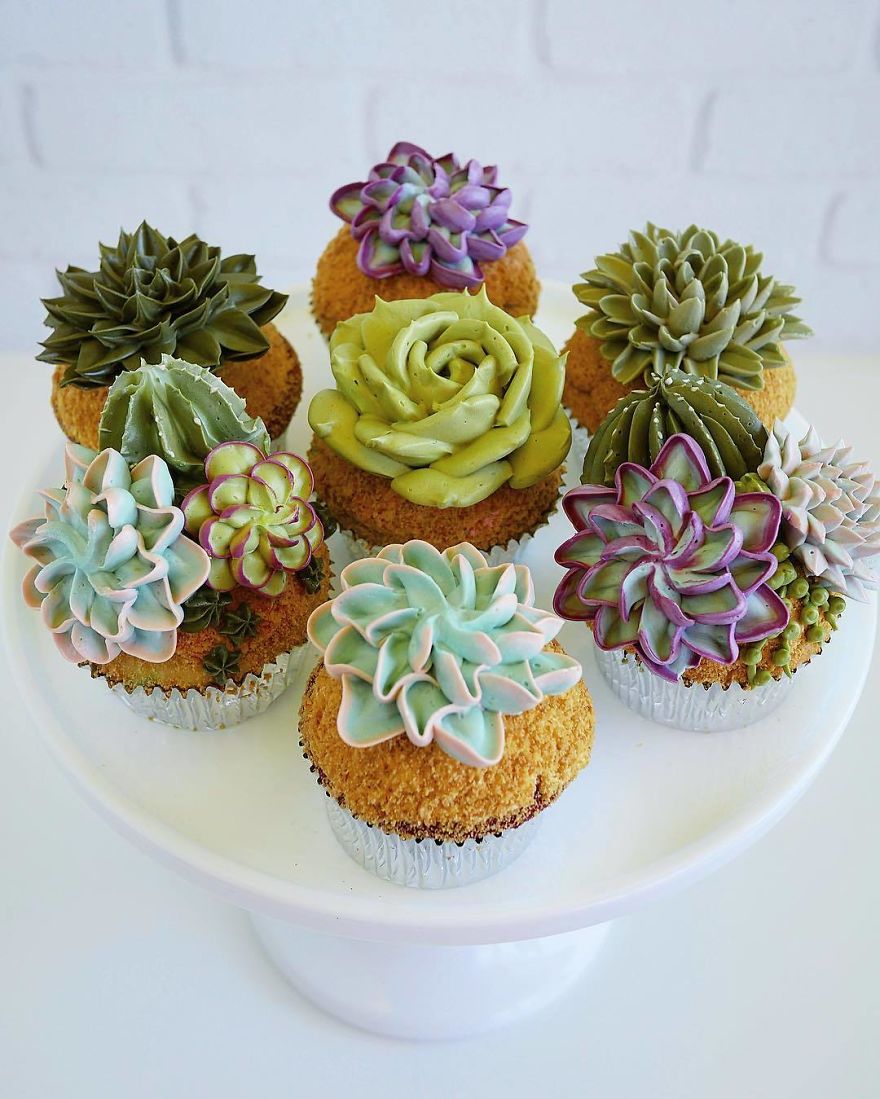 İlginç Pasta Tasarımları Kaktüs Pasta Ve Cupcake