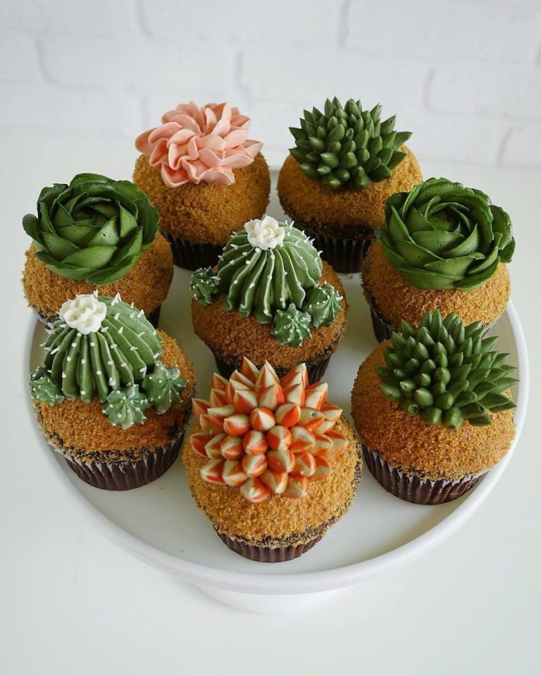İlginç Pasta Tasarımları Kaktüs Pasta Ve Cupcake