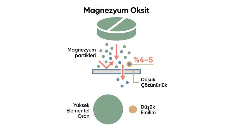 Magnezyum oksit emilim orani infografik
